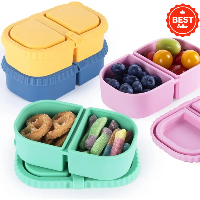 حاويات الوجبات الخفيفة المصنوع - مراجعة Food Snacks For Picnic وسعره